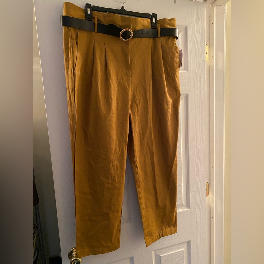 Brand new ankle dress pants